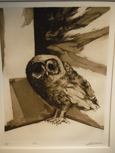 Owl - Jack Coughlin (1932-), Print of Etching on Paper, s/n 60/125 - 1969 - Picture 2 of 5