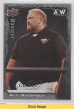 2022 Upper Deck AEW All Elite Wrestling Crew Silver Foil Arn Anderson READ 1ai1