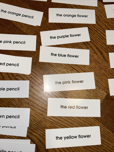 Neinhuis montessori adjective game cards homeschool adjective game - Picture 5 of 6