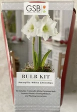 Garden State Bulb GSB Amaryllis White Christmas Bulb Kit Plant w/ Red Ceramic