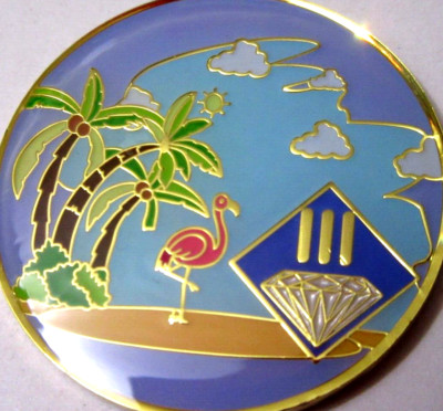 Beach Blue Narcotics Anonymous NA 3 Year Medallion Gold purple token coin pink