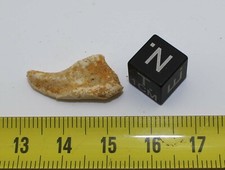 Fossile de Dent pharyngienne de poisson - Maroc  ( 001 )