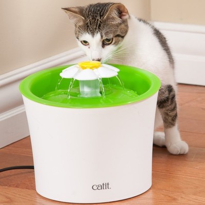 catit flower