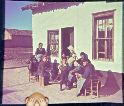 Agfacolor Color Slide Bulgaria Farming Family Broom Binder Front House 1941 FD12