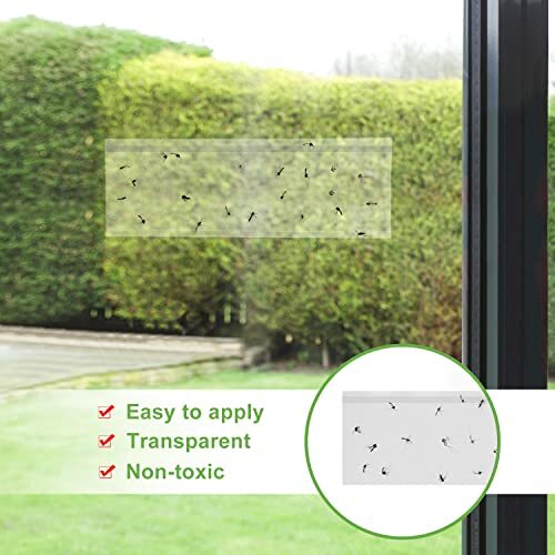 50 Pack Window Fly Traps, Fruit Fly Traps for Indoors, Fly Paper Sticky 50 Pcs - Picture 6 of 7