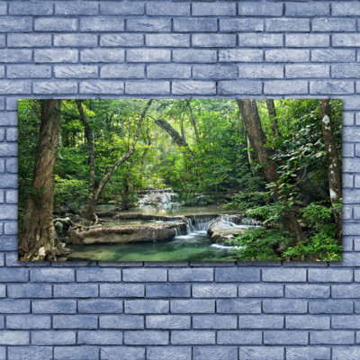 Glasbilder Wandbild Druck auf Glas 140x70 Wald Natur