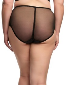 Dita Von Teese Julie's Roses Brief Panties NWT Luxury Semi-Sheer Lingerie D25019