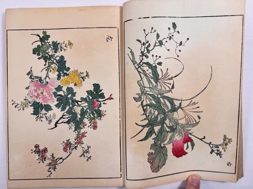 Japanese Woodblock Print Book “Kacho Gashu” Haruna kinzan 1903 Original - Picture 9 of 24