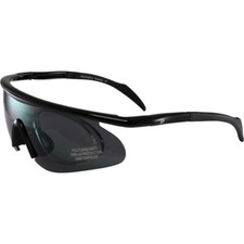 Birdz Eyewear Feather Sunglasses Black with Smoke Lens