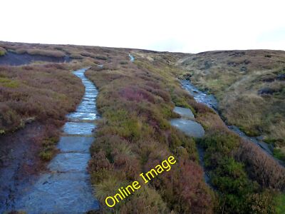 Foto 12x8 Pennine Way und Wildschweinkorn Crowden\/SK0799 c2012