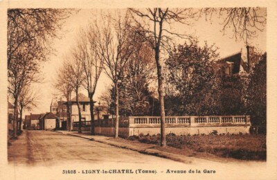 LIGNY-le-CHATEL - Avenue de la gare 