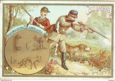 Chromo Liebig Sang  395 Puzzles objets caches IV (1893)