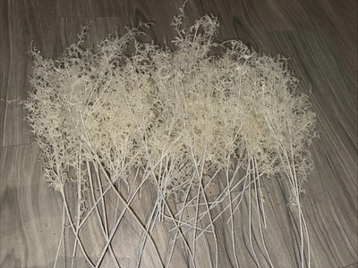 Artificial White Glitter Floral Stems 30+ Stems