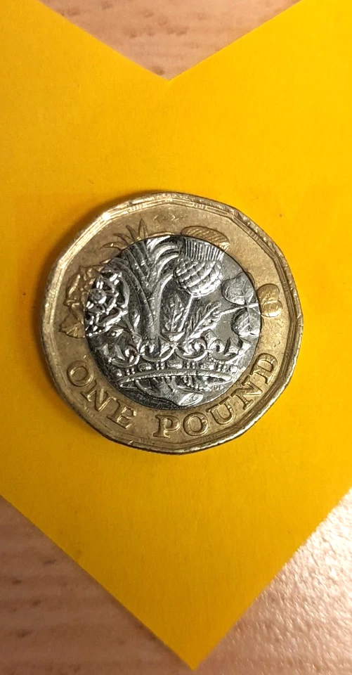 1 Britisches Pfund Münze 2016 mit Queen Elisabeth & Blumen sehr schön erhalten - Bild 2 von 2