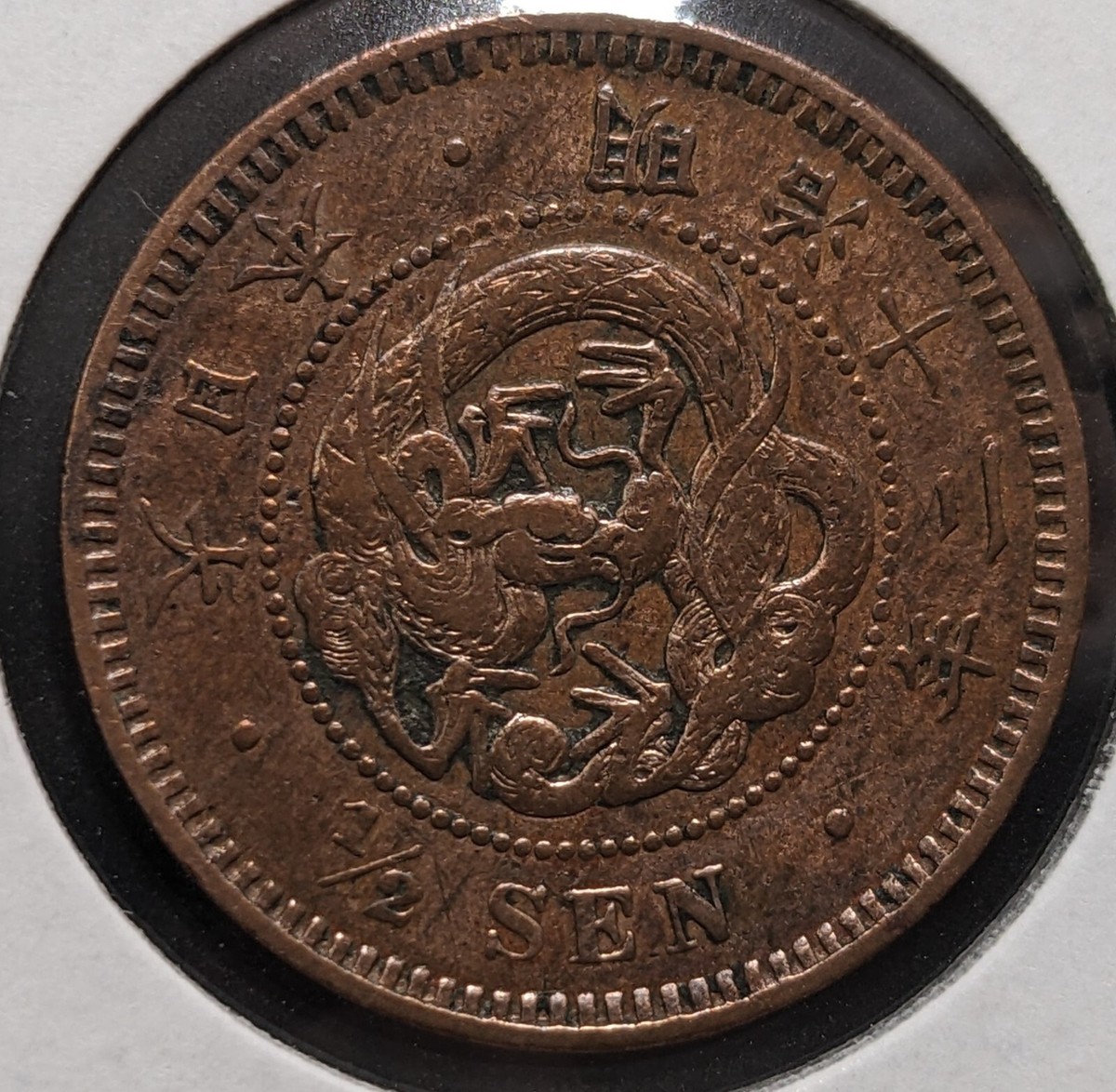 セーシェル 5000元 銀貨 オオカミ usdm-6780-8.jpg