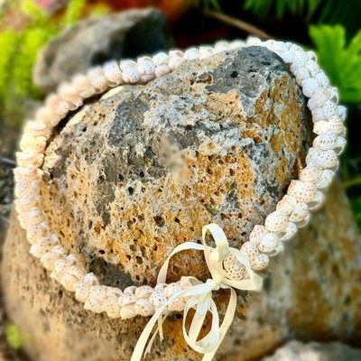 Hawaiian Store Moonshell Shell Lei – Handcrafted from Naticarius Onca ...