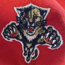NHL Vintage 90s Florida Panthers cap red black gold embroidery Snapback NWT