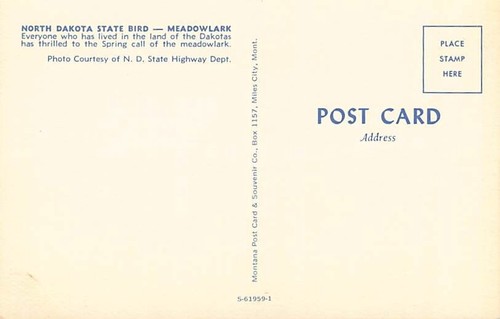 Postkarte ND: North Dakota State Bird, Meadowlark, Vintage unbespielt - Bild 2 von 2