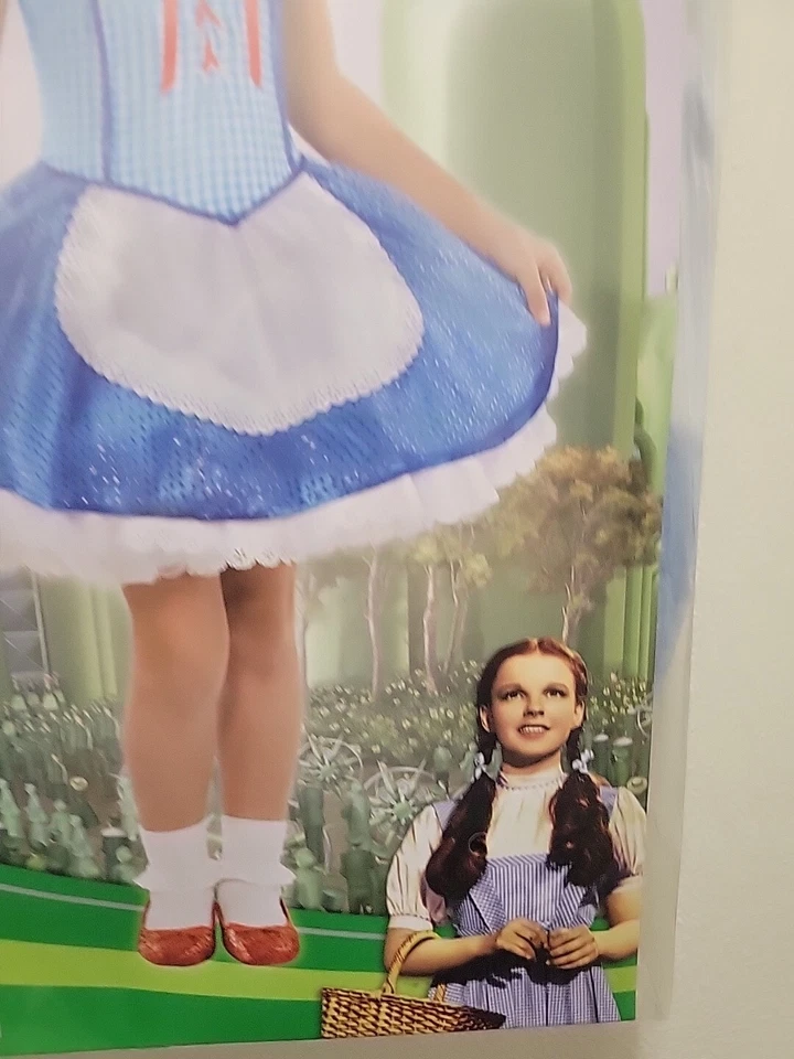 El Mago de Oz Dorothy Disfraz de Halloween Niño Pequeño Talla 3-4 Vestido Arcos Calcetines Nuevo Foto 3 de 4