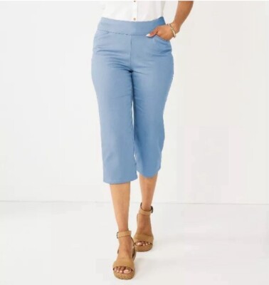 Plus Size Croft & Barrow Effortless Stretch Capri Pants ~Iris Garden~ 28W ~ NWT