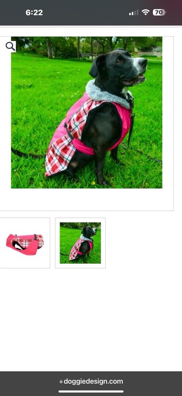 Doggy design raspberry plaid dog weatherproof jacket with fleece neck lining