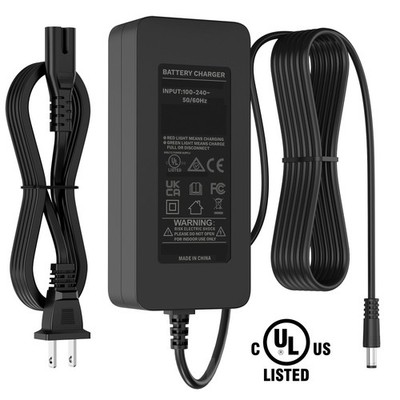 UL 42V AC DC Adapter For Wheelspeed Primer WS-Primer WS1 Pro Electric