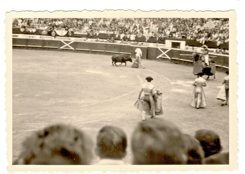 Bullfighting in Mont de Marsan Comida Lot of 11 Old Original Photos Hebrew 1961 - Picture 12 of 23