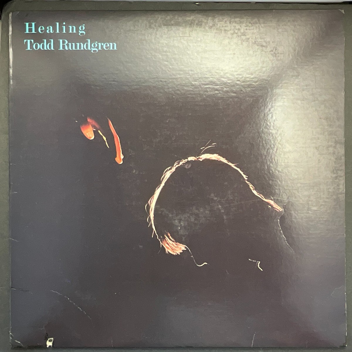 Todd Rundgren, Healing, Special Edition EP, Vinyl LP, VG+ | eBay