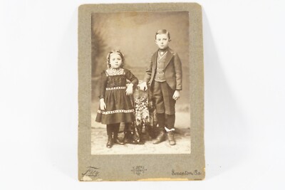 Alfred & Alma Schroeder Luzerne County PA Antique CDV Photo Frey Photography 7x5