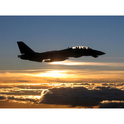 US Navy F14D Tomcat Kampfjet Silhouette riesiges Wandbild Poster Druck