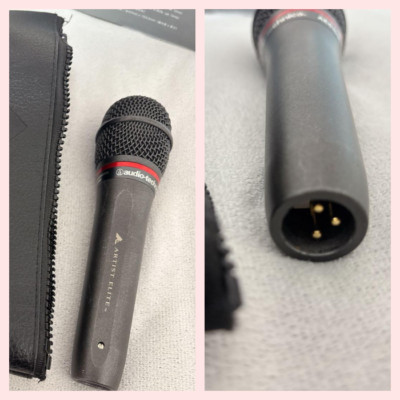 Audio-Technica AE6100 Artist Elite Hypercardioid Dynamic