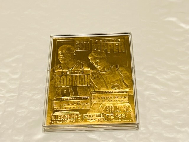 Scottie Pippen Dennis Rodman 1996 Chicago Champion Gold Card | eBay