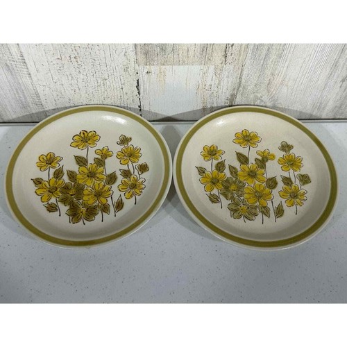 Spring Bouquet Stoneware Yellow Floral Green Band Bread & Butter Plate Set of 2 - 第 2/7 張圖片