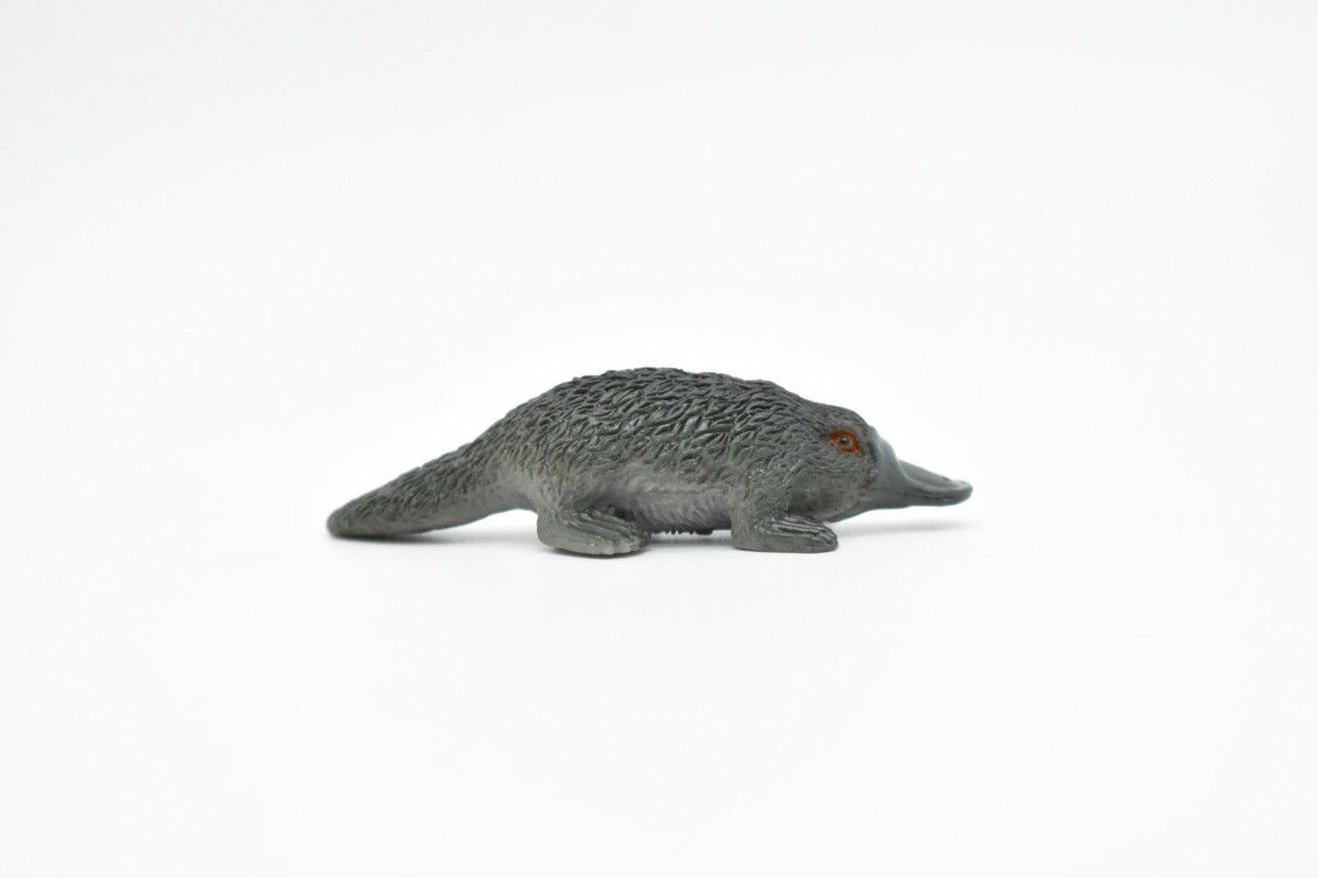 レア ⭐️MEFFERT’S Platypus Color Collection Fidget Friends Platypus – 801 Hobbies