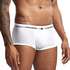 New Low Waist Mens Breathable Panties Cotton Gay Comfortable Soft Boxer Briefs