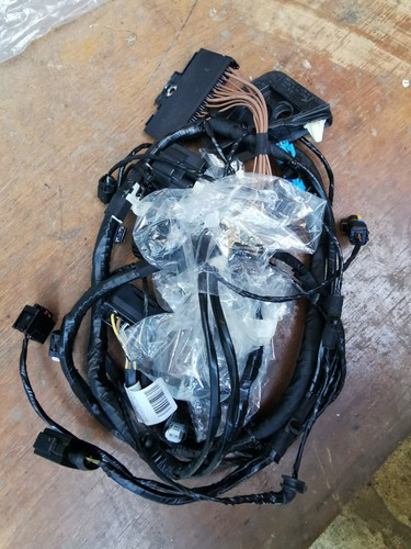 Genuine NEW BMW MINI R55R56 R57 2010-12 WIRING LOOM HARNESS FRONT RH 61119288269 - Picture 4 of 10