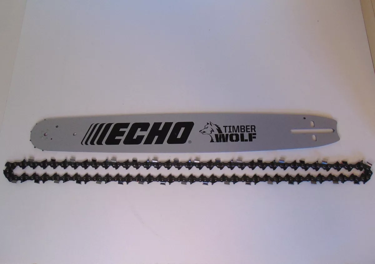 Echo 2024 590 bar