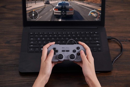 8bitdo SN30 Pro USB Gamepad Wired Game Controller for Windows/Switch (Gray - Picture 9 of 9