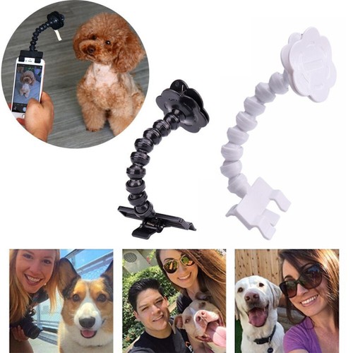 Telefon Clip Selfie Stick Pet Selfie Stick Für Hunde Katze Pet Selfie Werkzeug - 第 11/11 張圖片