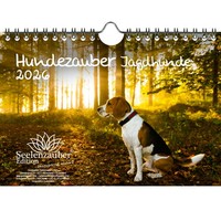 Hundezauber Jagdhunde Din A5 Kalender FüR 2026 Welpen Und Hunde - Seelenzauber