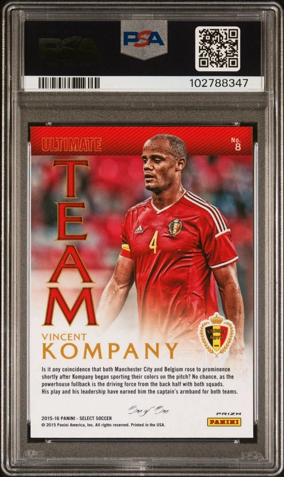 2015 Panini Select Vincent Kompany 黑色 Prizm 1/1 比利时曼城 — 第 4/4 张图片