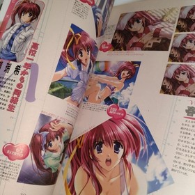 Dreamcast Comic Party Official Strategy Fan Book with DVD Extras, Used