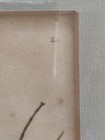 Picture 19 of 22