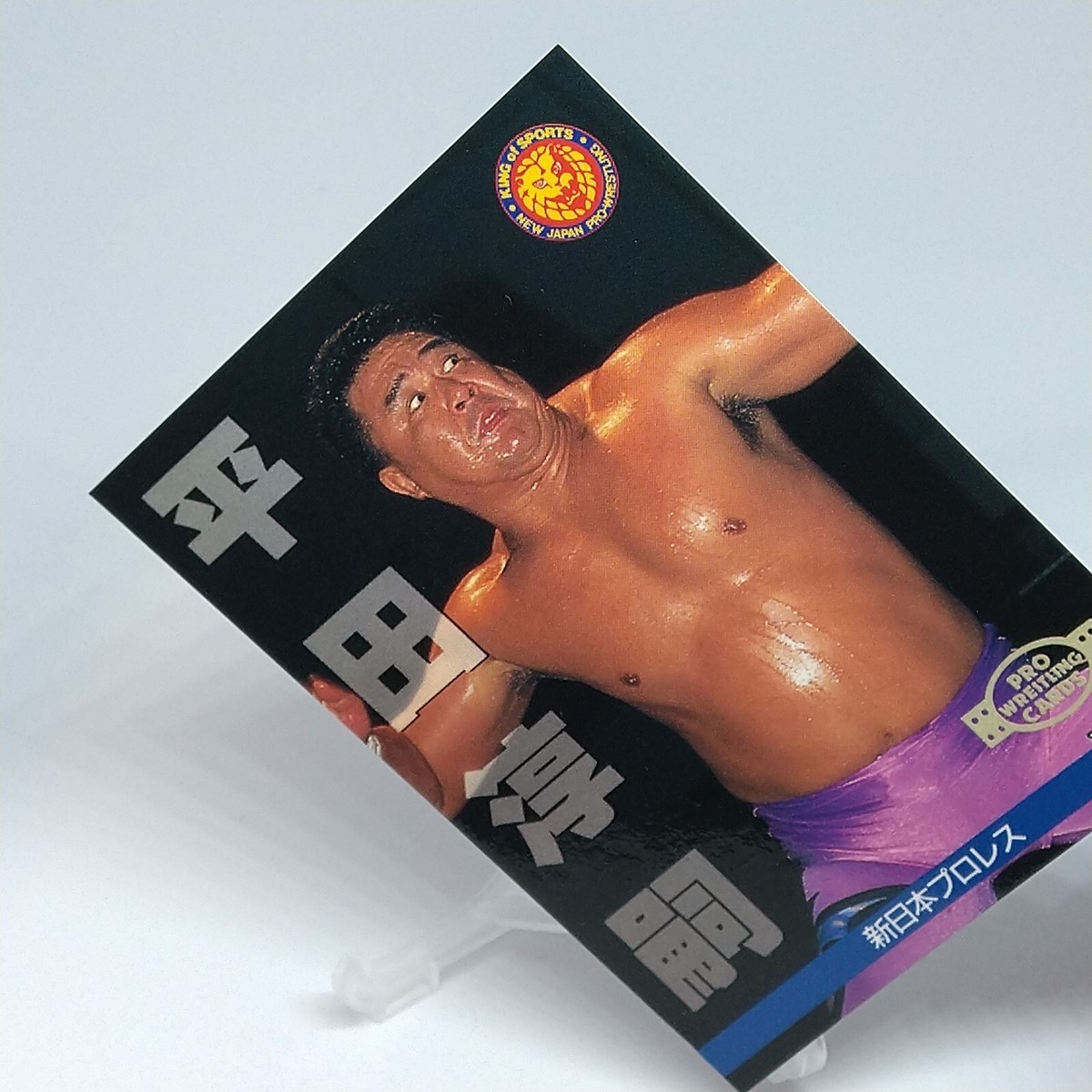 Junji Hirata New Japan Pro Wrestling Trading Card No.9 BBM