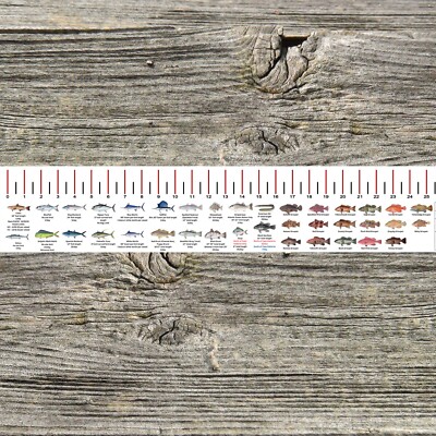 NORTH CAROLINA SALTWATER FISH ID AND REGULATIONS 50'' RULER
