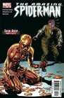 Amazing Spider-Man #516 Comic 2005 - Marvel Comics - Peter Parker