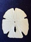 Arrowhead Sand Dollar 3 1/2x3 1/4” Sea Shell Natural Beach Ocean Shell Keyhole — photo 3