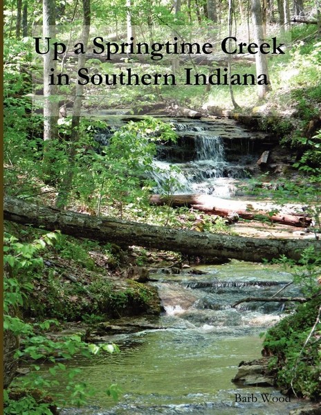 Barb Wood | Up A Springtime Creek In Southern Indiana | Taschenbuch | Englisch-image