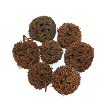 DR T&T Lu Lu Tong / 路路通 / Fructus Liquidamberis Dry Herbs 100g
