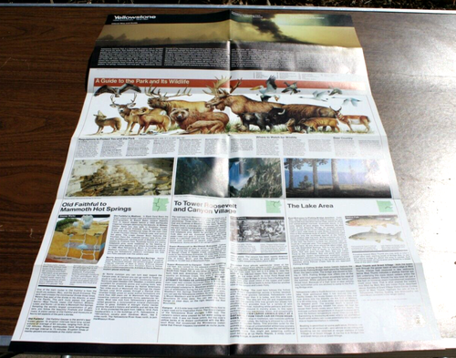 Yellowstone 125° Anniversario 1872-1997 Mappa e Guida Ufficiale - Foto 4 di 9